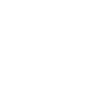 Irish Company